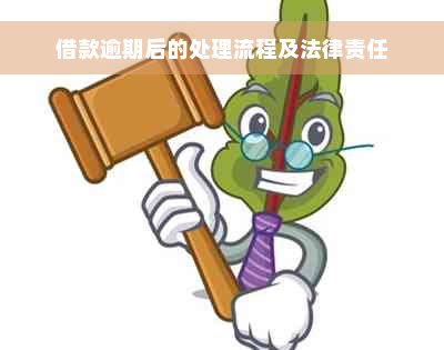 借款逾期后的处理流程及法律责任