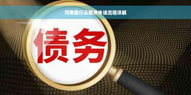 河南建行云税贷申请流程详解