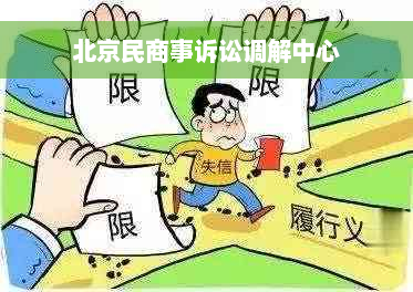 北京民商事诉讼调解中心