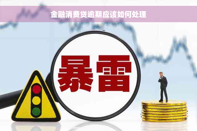 金融消费贷逾期应该如何处理