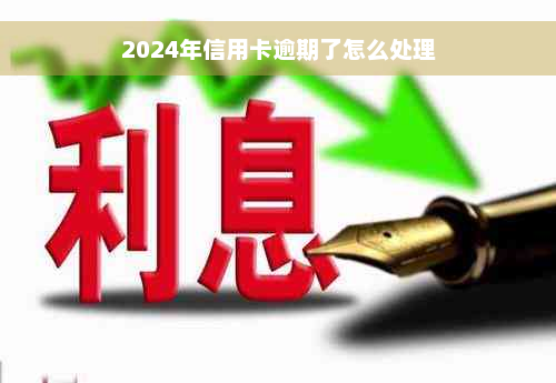 2024年信用卡逾期了怎么处理