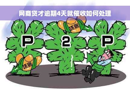 网商贷才逾期4天就催收如何处理