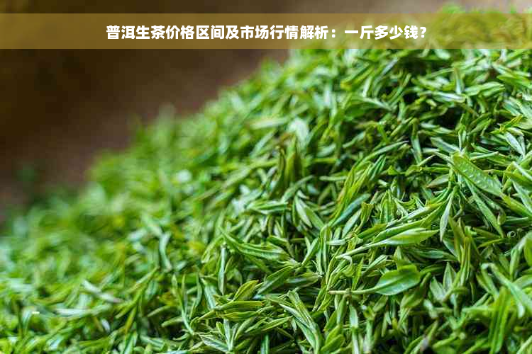 普洱生茶价格区间及市场行情解析：一斤多少钱？