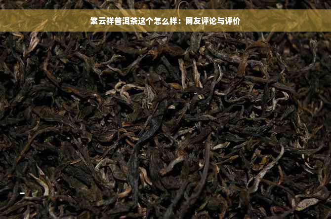 紫云祥普洱茶这个怎么样：网友评论与评价