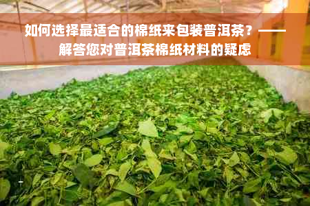 如何选择最适合的棉纸来包装普洱茶？——解答您对普洱茶棉纸材料的疑虑