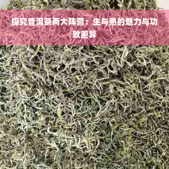 探究普洱茶两大阵营：生与熟的魅力与功效差异