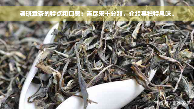 老班章茶的特点和口感：苦尽来十分甜，介绍其独特风味。