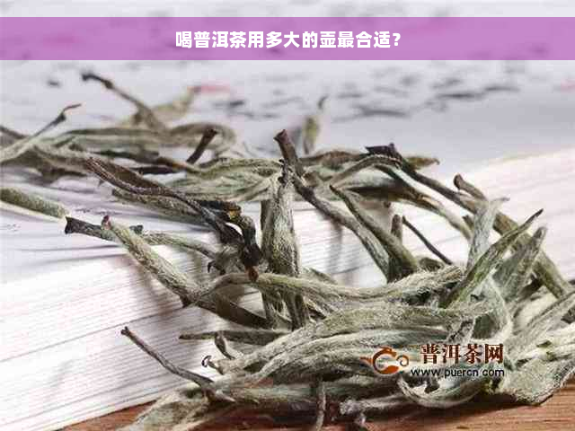 喝普洱茶用多大的壶最合适？