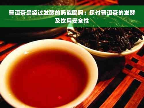 普洱茶是经过发酵的吗能喝吗：探讨普洱茶的发酵及饮用安全性