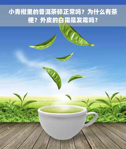 小青柑里的普洱茶碎正常吗？为什么有茶梗？外皮的白霜是发霉吗？