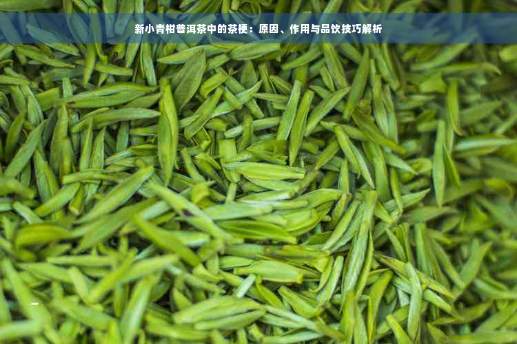 新小青柑普洱茶中的茶梗：原因、作用与品饮技巧解析