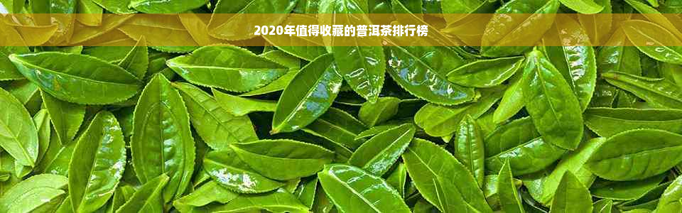 2020年值得收藏的普洱茶排行榜