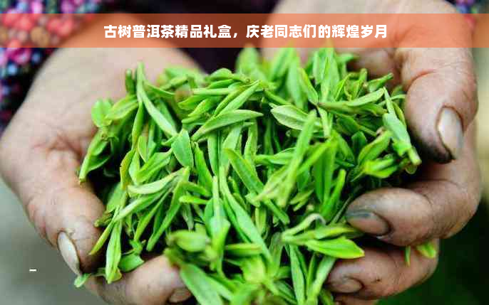 古树普洱茶精品礼盒，庆老同志们的辉煌岁月