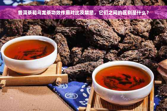 普洱茶和乌龙茶功效作用对比及禁忌，它们之间的区别是什么？