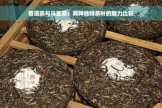 普洱茶与乌龙茶：两种独特茶叶的魅力比较