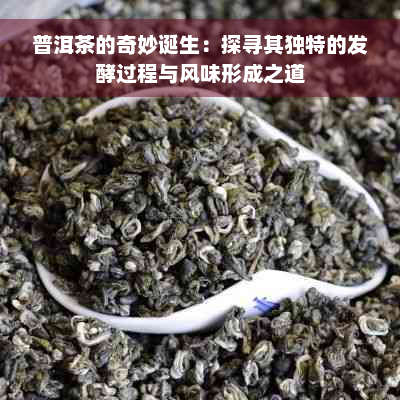 普洱茶的奇妙诞生：探寻其独特的发酵过程与风味形成之道