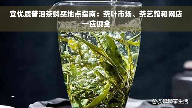 宜优质普洱茶购买地点指南：茶叶市场、茶艺馆和网店一应俱全