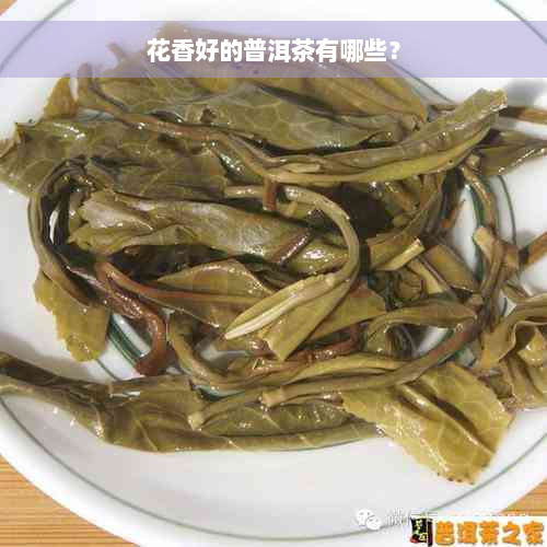 花香好的普洱茶有哪些？