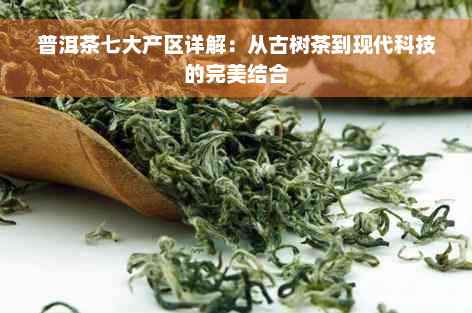 普洱茶七大产区详解：从古树茶到现代科技的完美结合