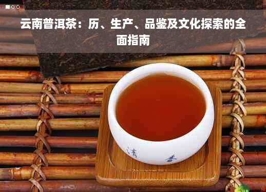 云南普洱茶：历、生产、品鉴及文化探索的全面指南