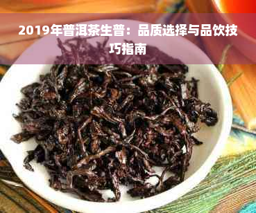 2019年普洱茶生普：品质选择与品饮技巧指南