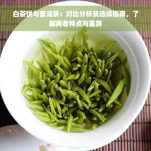 白茶饼与普洱茶：对比分析及选择指南，了解两者特点与差异