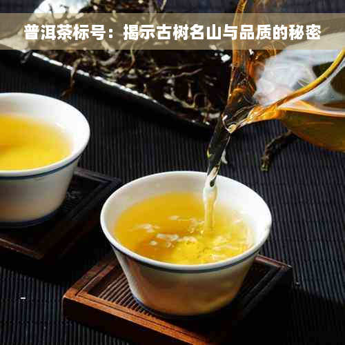 普洱茶标号：揭示古树名山与品质的秘密