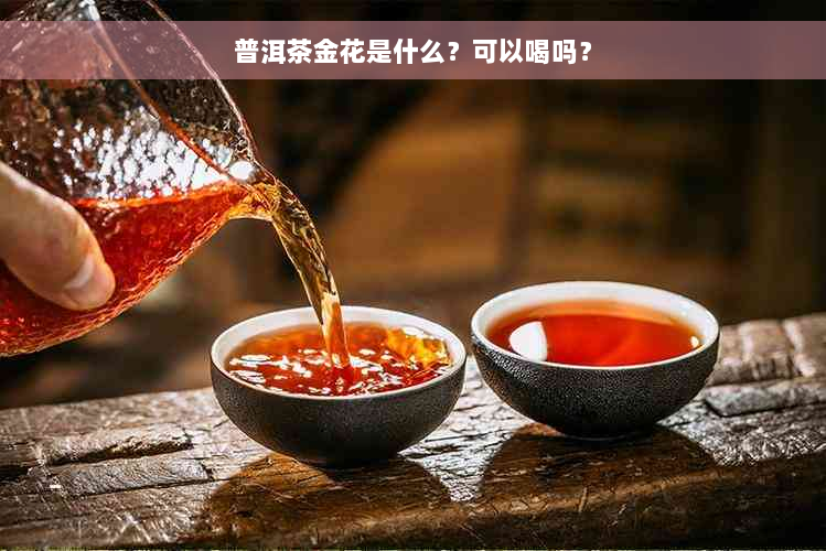 普洱茶金花是什么？可以喝吗？