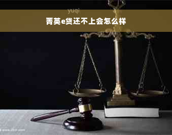 菁英e贷还不上会怎么样