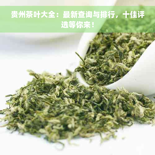 贵州茶叶大全：最新查询与排行，十佳评选等你来！