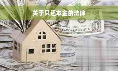 关于只还本金的法律