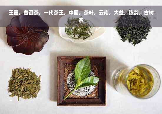 王霞，普洱茶，一代茶王，中国，茶叶，云南，大益，陈韵，古树茶