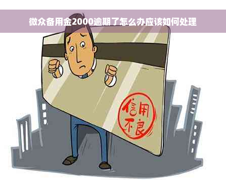 微众备用金2000逾期了怎么办应该如何处理