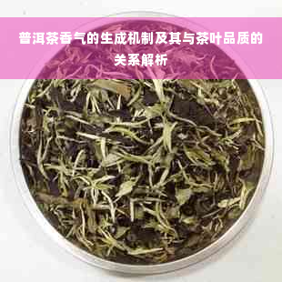 普洱茶香气的生成机制及其与茶叶品质的关系解析