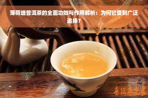 薄荷塘普洱茶的全面功效与作用解析：为何它受到广泛追捧？