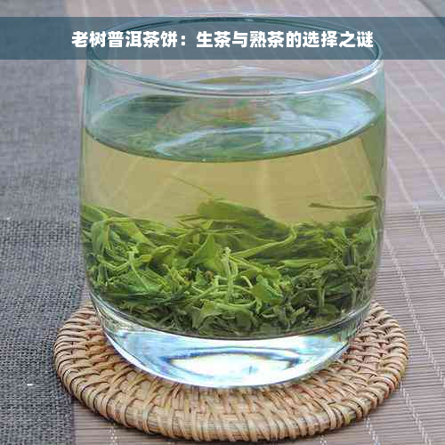 老树普洱茶饼：生茶与熟茶的选择之谜