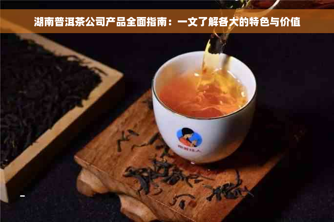 湖南普洱茶公司产品全面指南：一文了解各大的特色与价值