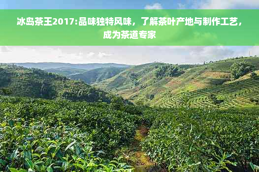 冰岛茶王2017:品味独特风味，了解茶叶产地与制作工艺，成为茶道专家