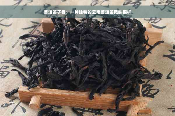 普洱茶子香：一种独特的云南普洱茶风味探析