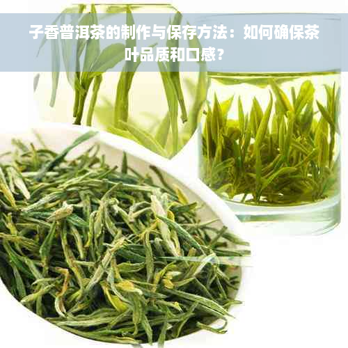 子香普洱茶的制作与保存方法：如何确保茶叶品质和口感？