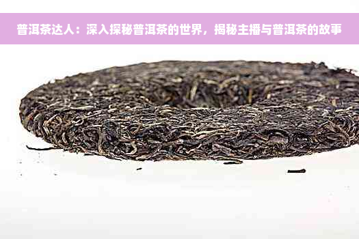 普洱茶达人：深入探秘普洱茶的世界，揭秘主播与普洱茶的故事