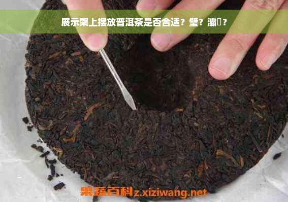 展示架上摆放普洱茶是否合适？璧？灞曠？