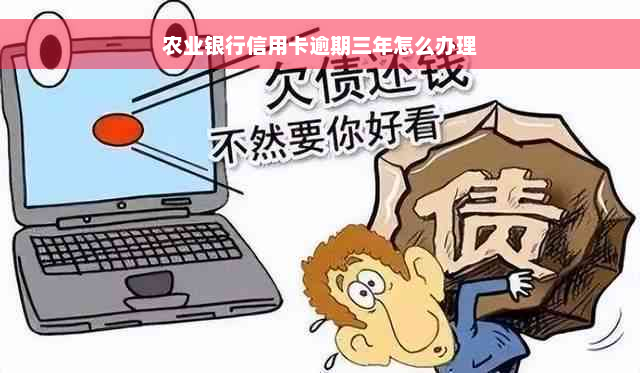 农业银行信用卡逾期三年怎么办理