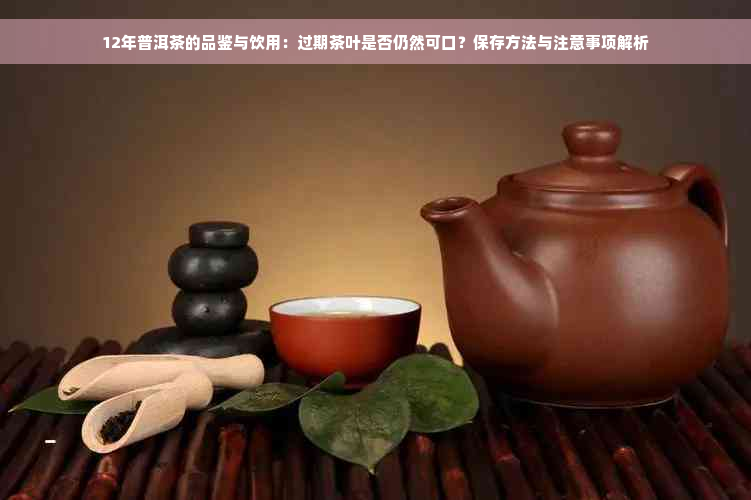 12年普洱茶的品鉴与饮用：过期茶叶是否仍然可口？保存方法与注意事项解析