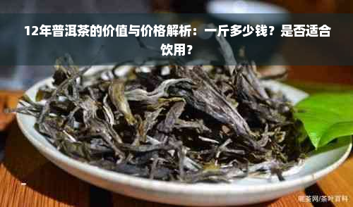 12年普洱茶的价值与价格解析：一斤多少钱？是否适合饮用？