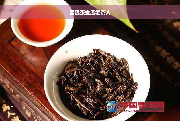 普洱茶金瓜老茶人