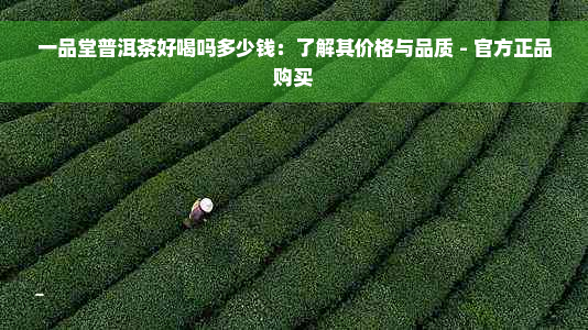 一品堂普洱茶好喝吗多少钱：了解其价格与品质 - 官方正品购买