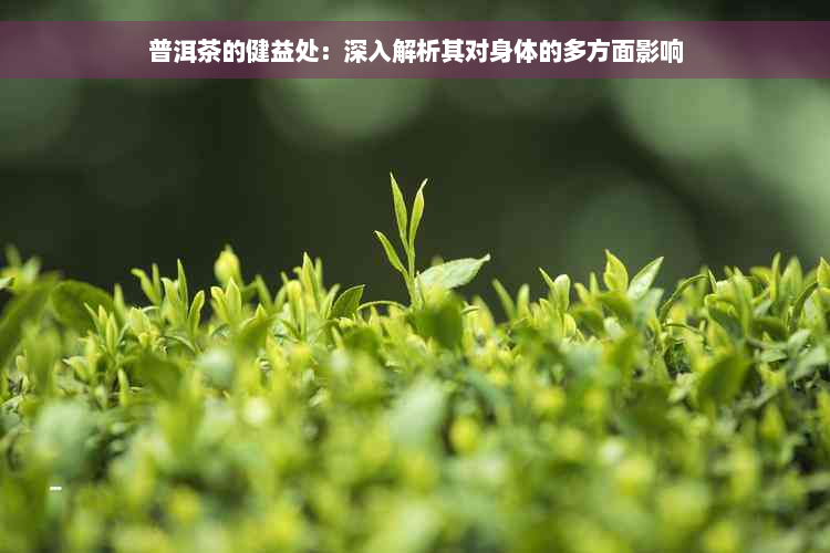 普洱茶的健益处：深入解析其对身体的多方面影响