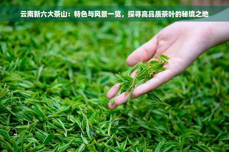 云南新六大茶山：特色与风景一览，探寻高品质茶叶的秘境之地