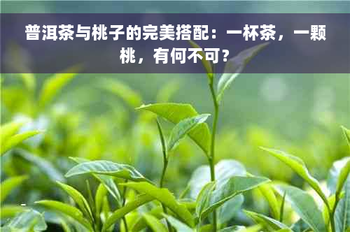 普洱茶与桃子的完美搭配：一杯茶，一颗桃，有何不可？